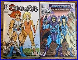 2 Sketch Covers Original Art Thundercats MOTU Skeletor