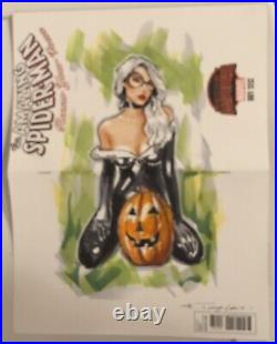 Black Cat Original Art Sketch Cover Variant Comic Book Spider-man Sexy cover