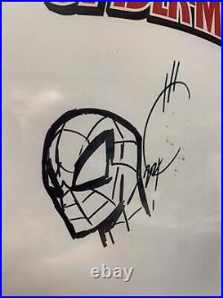 Joe Quesada Spider-man Remark Sketch Art On Blank Cover Cbcs Grade 9.8