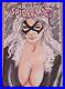 MARVEL-Comics-BLACK-CAT-Original-Art-Sketch-Cover-SPIDER-MAN-VENOM-CARNAGE-GWEN-01-lvde