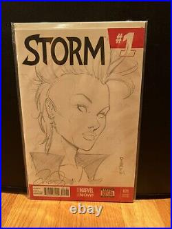 Mike Debalfo Original Art Storm Sketch Cover On Storm 1 Variant Signed