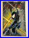 Sketch-cover-blank-original-art-Spiderman-by-Dan-Neidlinger-01-yoz