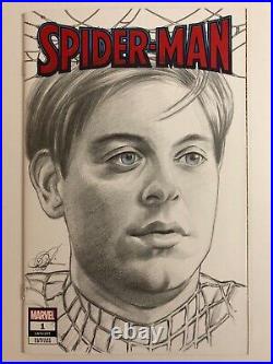 Sketch cover original art, Spider-man, Toby Maguire by Dan Neidlinger