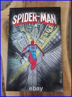 Spiderman Blank Cover Original art Sketch by Emre Varlibas