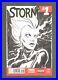 Storm-Original-Art-Sketch-By-Michael-Walsh-Blank-Variant-One-Of-A-Kind-01-iuab