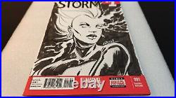 Storm Original Art Sketch By Michael Walsh! Blank Variant! One Of A Kind