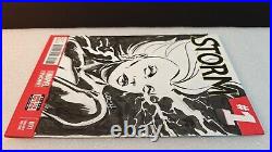 Storm Original Art Sketch By Michael Walsh! Blank Variant! One Of A Kind