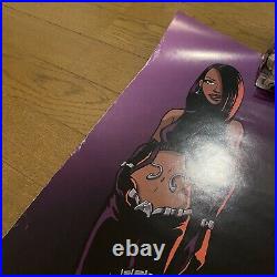 Ultra Rare Aaliyah 2001 Original Us Promo Lp/cd Cover Art Poster + More