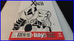 Wolverine & Phoenix Original Art Sketch By Nick Bradshaw! Blank Variant Marvel